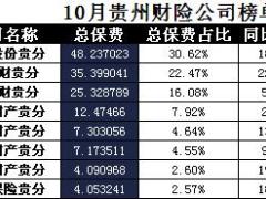 贵州省2017年前10月财险公司总保费排行榜.xls