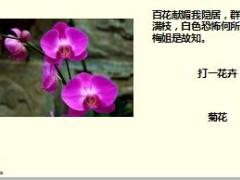 每日快乐早会17年12月29日使用15页.ppt