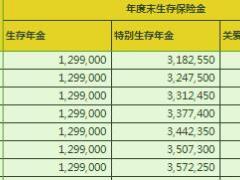 阳光人寿财富传家A年金险计划书不带万能账户2页.xls