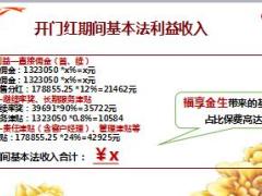 新华福金满堂红销售分享9页.ppt