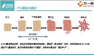基因检测健康产说会酒会宣导片23页.ppt