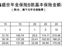 国华鑫盛世年金保险B款条款费率表.rar