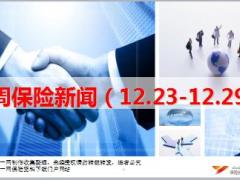 保险周刊12月23日至12月28日25页.ppt
