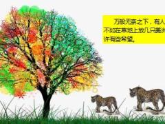 每日正能量善待对手11页.ppt