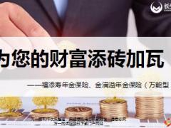 长生人寿福添寿年金保险金满溢年金保险万能型产品介绍30页.ppt