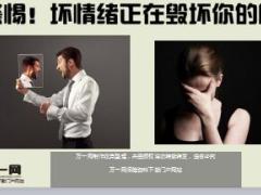 警惕坏情绪正在毁坏你的团队13页.ppt