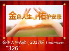 太平洋金佑人生A款2017版326销售训练手册春节版10页.ppt