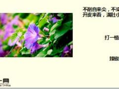 每日快乐早会18年1月4日使用15页.ppt