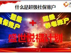 国寿盛世系列保险组合计划销售培训13页.ppt