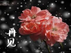 每日保险故事我没有偷吃6页.ppt