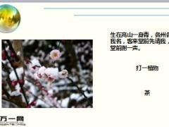 每日快乐早会18年1月5日使用15页.ppt
