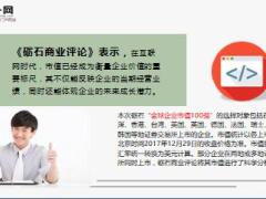 2017全球企业市值100强中国人寿唯一入选中国保险公司10页.ppt
