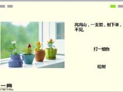 每日快乐早会18年1月8日使用15页.ppt