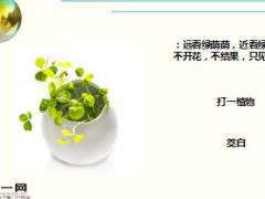 每日快乐早会18年1月9日使用15页.ppt