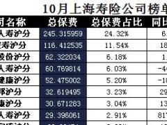 上海2017年前10月寿险公司总保费排行榜.xls
