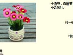 每日快乐早会18年1月10日使用15页.ppt