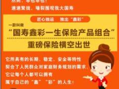 国寿鑫彩一生保险产品组合宣传页.rar
