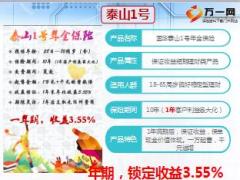 工行国华趸交产品介绍终端机操作流程19页.ppt