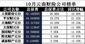 云南省2017年前10月财险公司总保费排行榜.xls