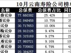 云南省2017年前10月寿险公司总保费排行榜.xls