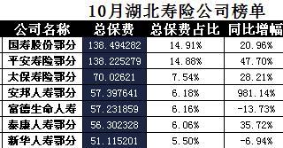 湖北省2017年前10月寿险公司总保费排行榜.xls