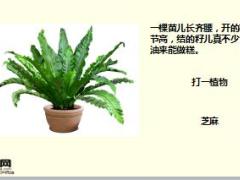 每日快乐早会18年1月11日使用15页.ppt