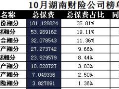 湖南省2017年前10月财险公司总保费排行榜.xls