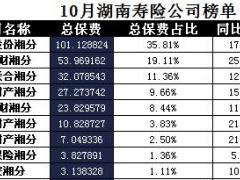 湖南省2017年前10月寿险公司总保费排行榜.xls