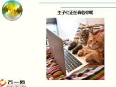 每日快乐早会18年1月12日使用15页.ppt