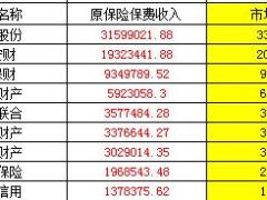 2017年前11月财产保险公司原保险保费收入排名表.xls