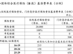 建信人寿附加团体综合医疗保险B款条款费率表.rar