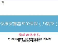 弘康安鑫赢两全保险万能型培训课件11页.ppt