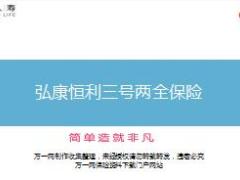 弘康恒利三号两全保险培训课件10页.ppt