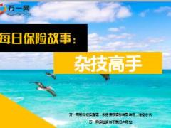 每日保险故事杂技高手8页.ppt