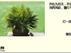 每日快乐早会18年1月16日使用15页.ppt