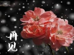 每日保险故事马太效应7页.ppt