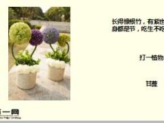 每日快乐早会18年1月18日使用15页.ppt