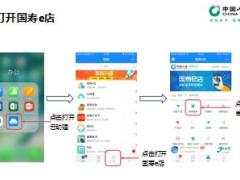 国寿e宝功能介绍之待办事项查询5页.ppt