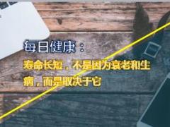 每日健康寿命长短不是因为衰老和生病而是取决于它10页.ppt
