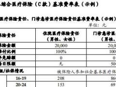 建信人寿附加团体综合医疗保险C款条款费率表.rar