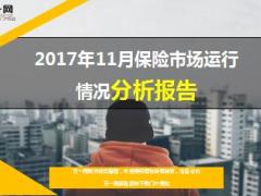 2017年11月保险市场运行情况分析报告51页.ppt