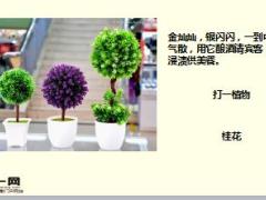 每日快乐早会18年1月22日使用15页.ppt