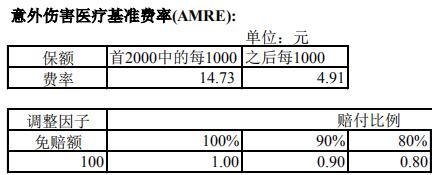 中荷附加E款意外伤害医疗保险合同条款费率表.rar
