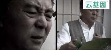 视频云基因CCVD心脑血管风险评估宣传片.rar