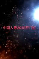 视频中国人寿2018开门红盛世御享新品发布会宣传片.rar