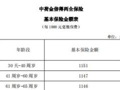 中荷金倍得两全保险合同条款费率表.rar