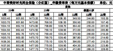 中荷美好时光两全保险分红型合同条款费率表.rar
