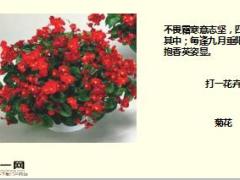 每日快乐早会18年1月24日使用15页.ppt