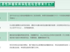 国寿康爱E生恶性肿瘤保险二折页.rar