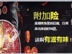 新华保险附加险产品包装宣导28页.ppt